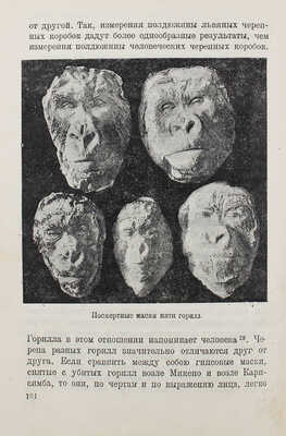 Экли К. В сердце Африки / Пер. и обраб. Е.Г. Лундберга; переплет и титул худож. А. Радищева. М., 1935.